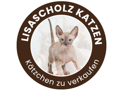 Lisa Scholz Katzen
